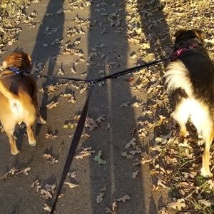 Meet your Posher, Jaclyn